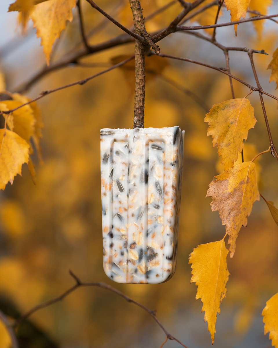 Ta vara på solrosens frön Talgbollar 2.jpg